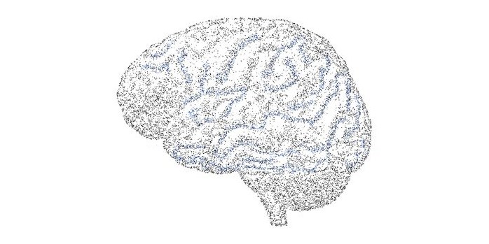 Drawing: the brain, with signals running along its folds in blue.